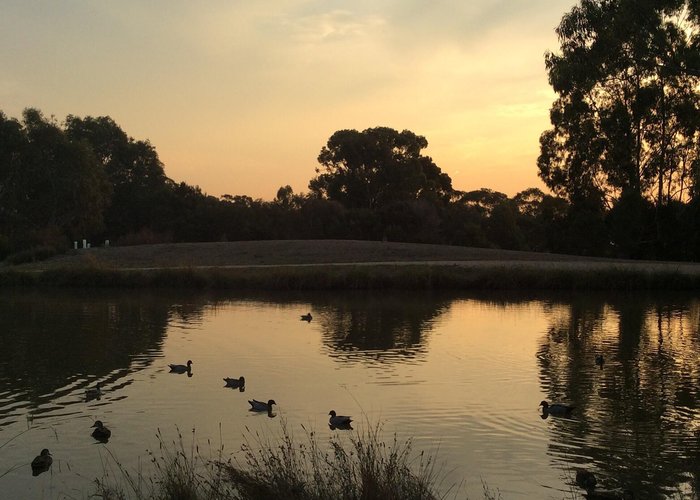 Bundoora Park