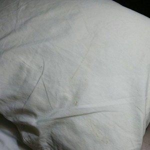 Disgusting place to stay and even had a couple walk into our room because the folks working the 