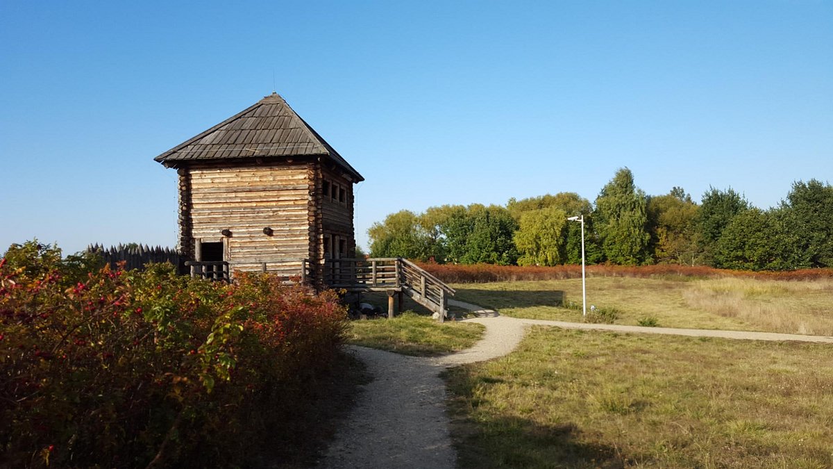 Piast City Archeological Preserve, Kalisz: лучшие советы перед посещением -  Tripadvisor