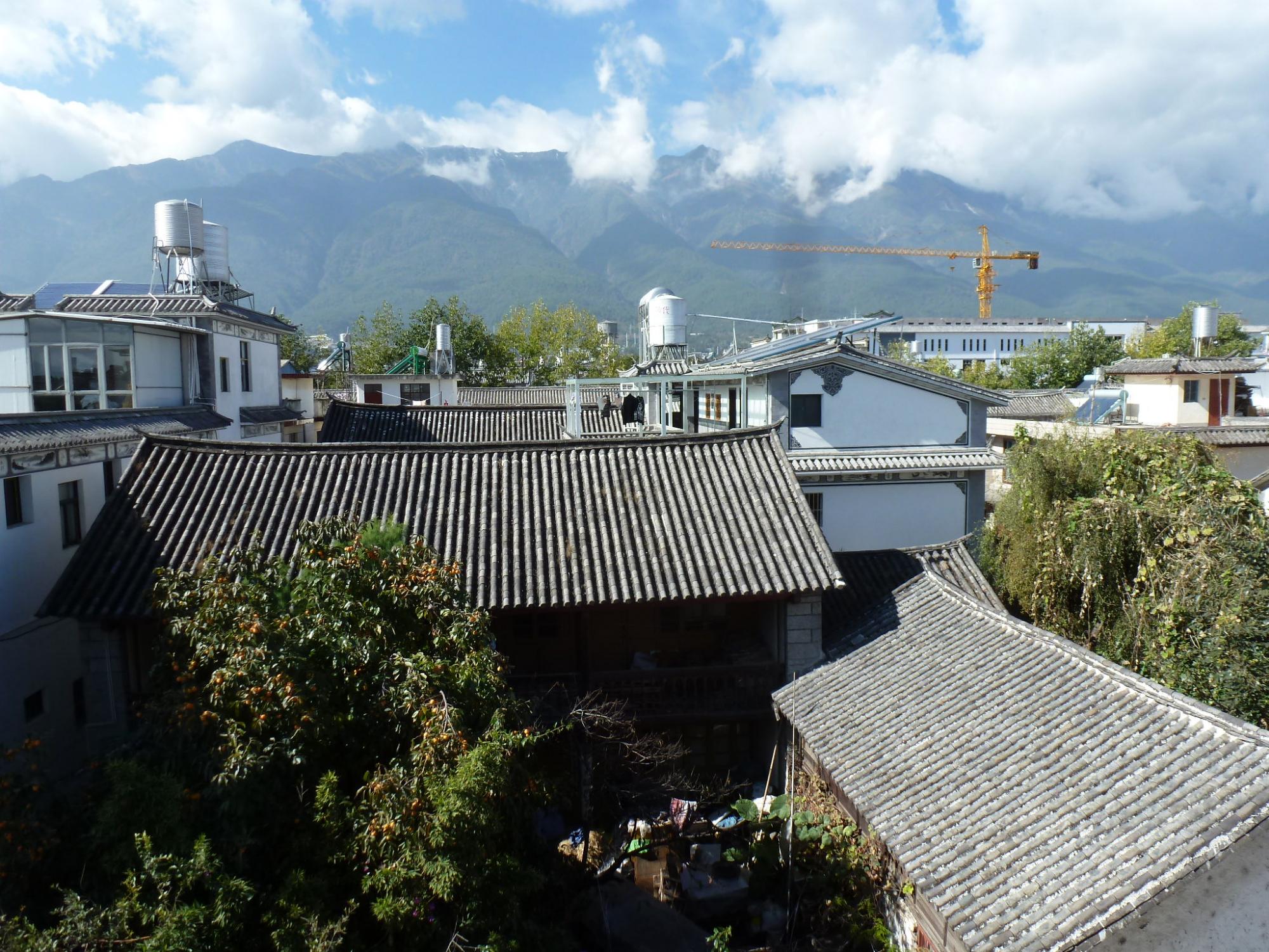 Hotel photo 3 of Dragonfly Guest House.
