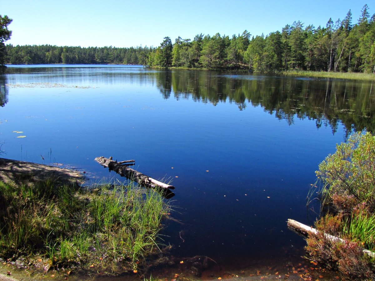 PARADISETS NATURRESERVAT (Huddinge) - 2022 What to Know BEFORE You Go