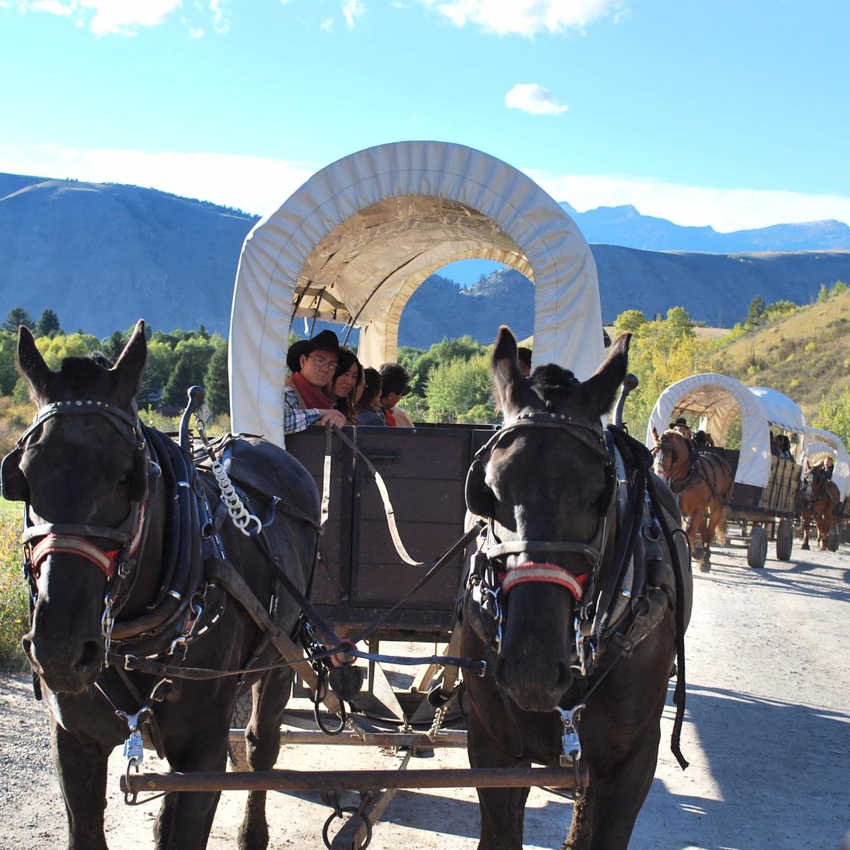 Bar-T-5 Covered Wagon Cookout, Джексон: лучшие советы перед посещением -  Tripadvisor