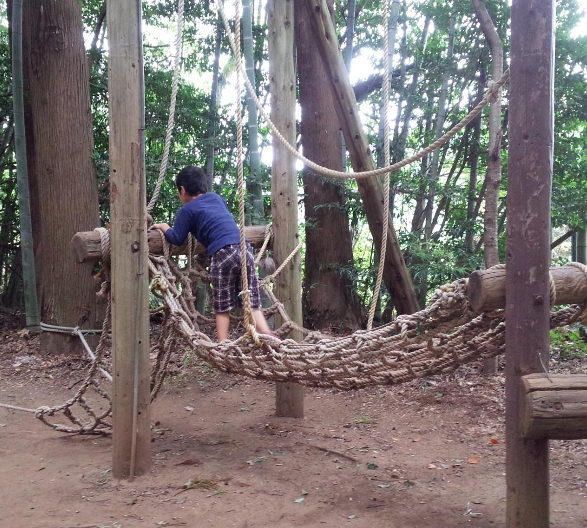 22年 運動の森自然公園 成田エアポートコース 行く前に 見どころをチェック トリップアドバイザー