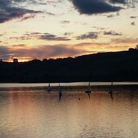 taupo at its best
