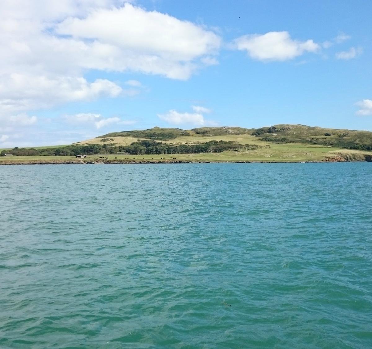 Lambay Island, Дублин: лучшие советы перед посещением - Tripadvisor