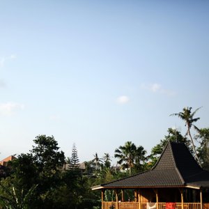The Farm Hostel