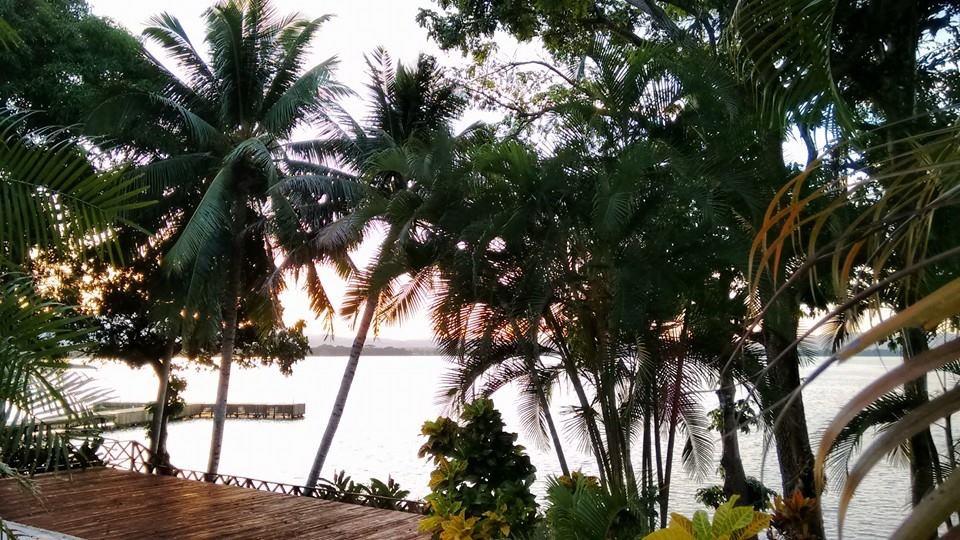 Hotel photo 11 of Banana Palms Hotel Resort & Marina.