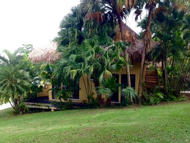 Hotel photo 56 of Banana Palms Hotel Resort & Marina.