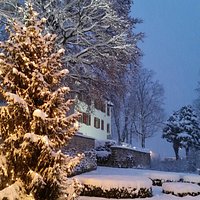 Schloss Arbon