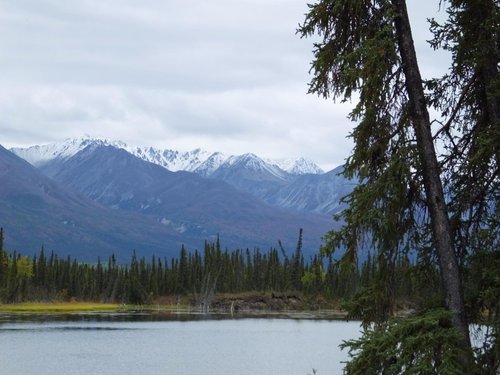 Wrangell-St Elias National Park and Preserve TheTravelinMan1944 review images