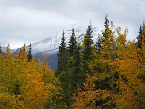 Wrangell-St Elias National Park and Preserve TheTravelinMan1944 review images