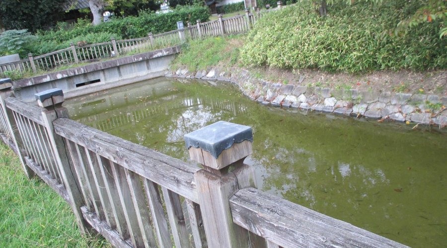 風情があります