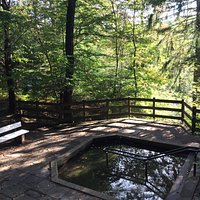 Wassertretbecken an der Sachsenquelle