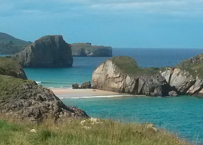 The Coast Above Poo Beach