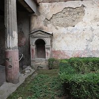 particolare del giardino interno