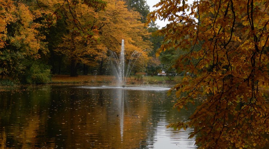 Kurpark im Herbst