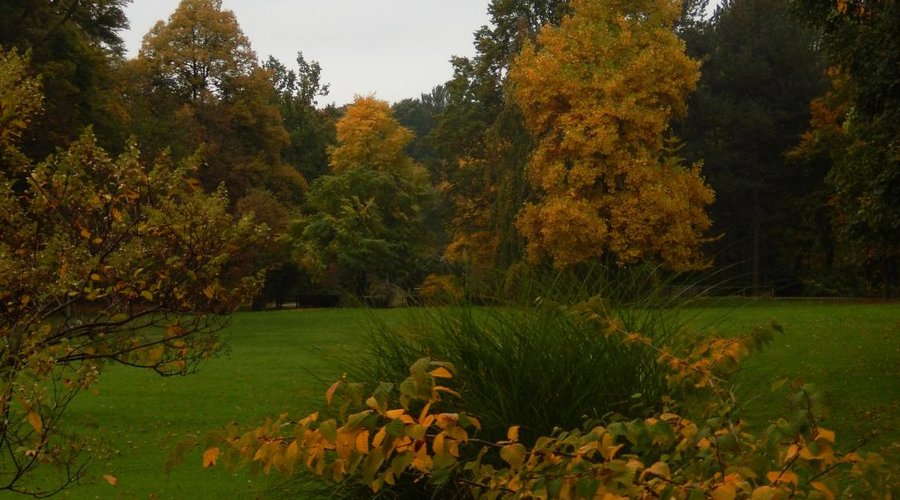 Kurpark im Herbst