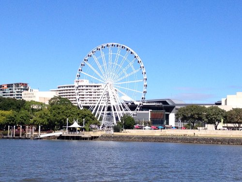 5 Must-Do Activities in South Bank Brisbane