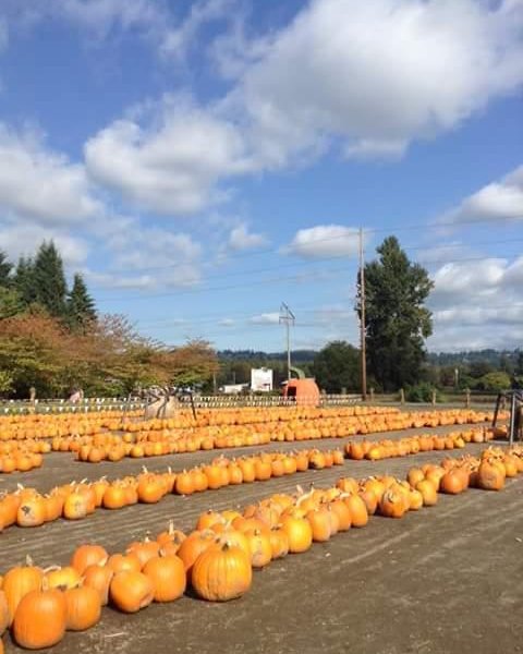 Spooner Farms image