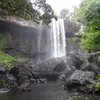 Things To Do in Millaa Millaa Falls, Restaurants in Millaa Millaa Falls