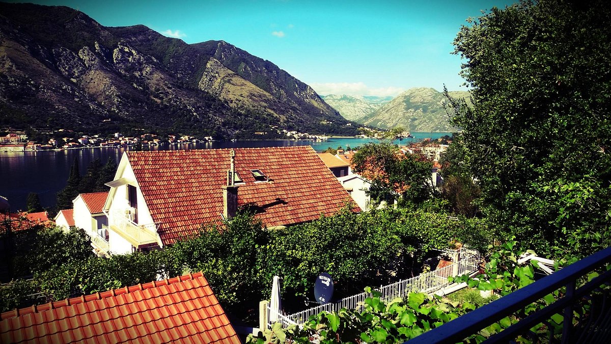 Explore the Allure of Luxury - An In-Depth Hotel Review for Forza Mare Hotel in Dobrota, Kotor, Montenegro