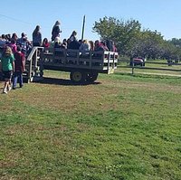 Hay ride to Orchard