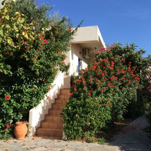 Fragokastello Star