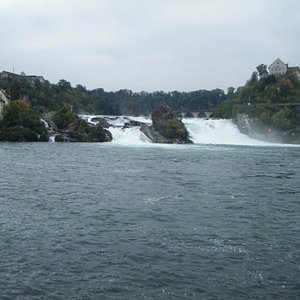 Short walk to Rhienfalls, amazing waterfalls