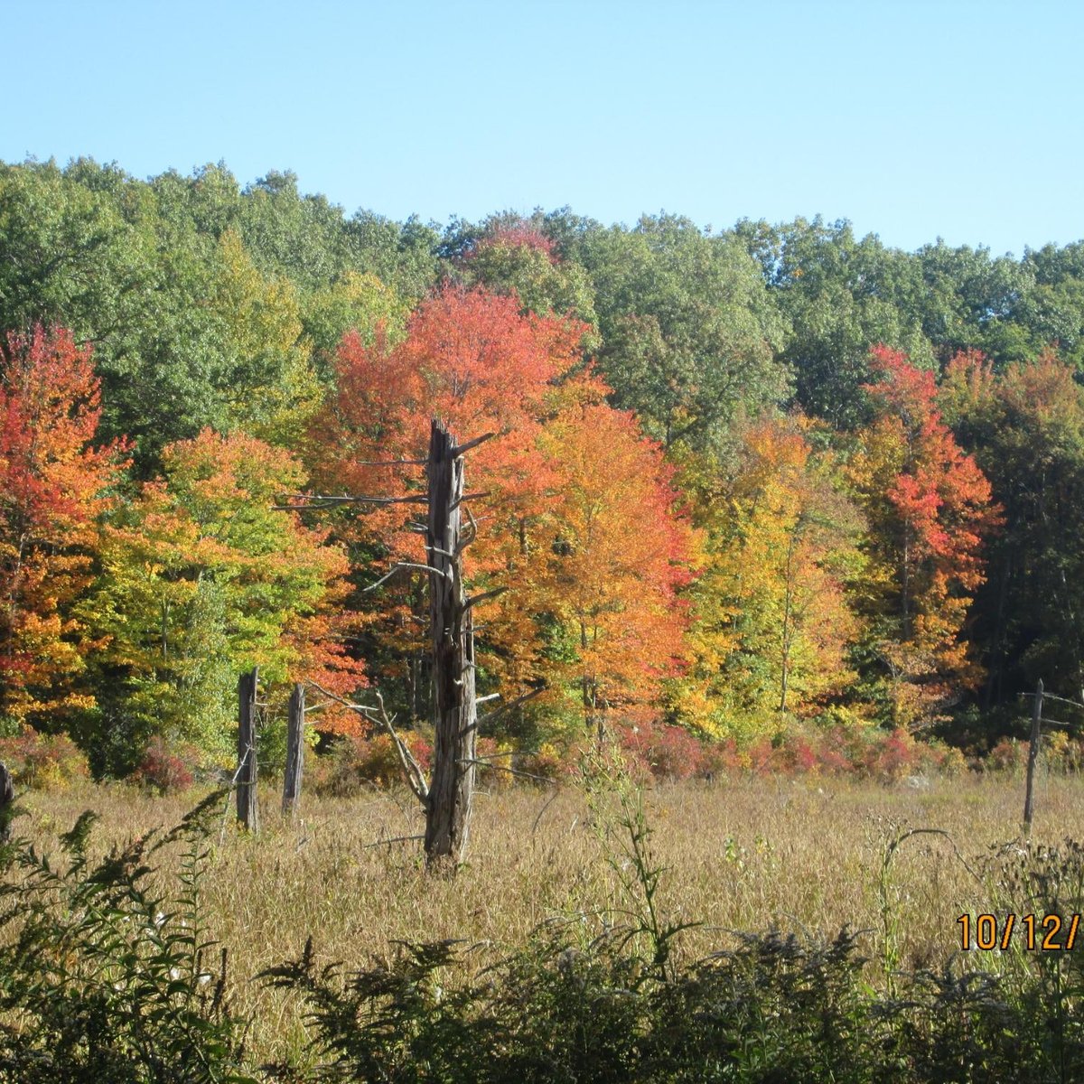 Airline State Park Trail - All You Need to Know BEFORE You Go (2024)