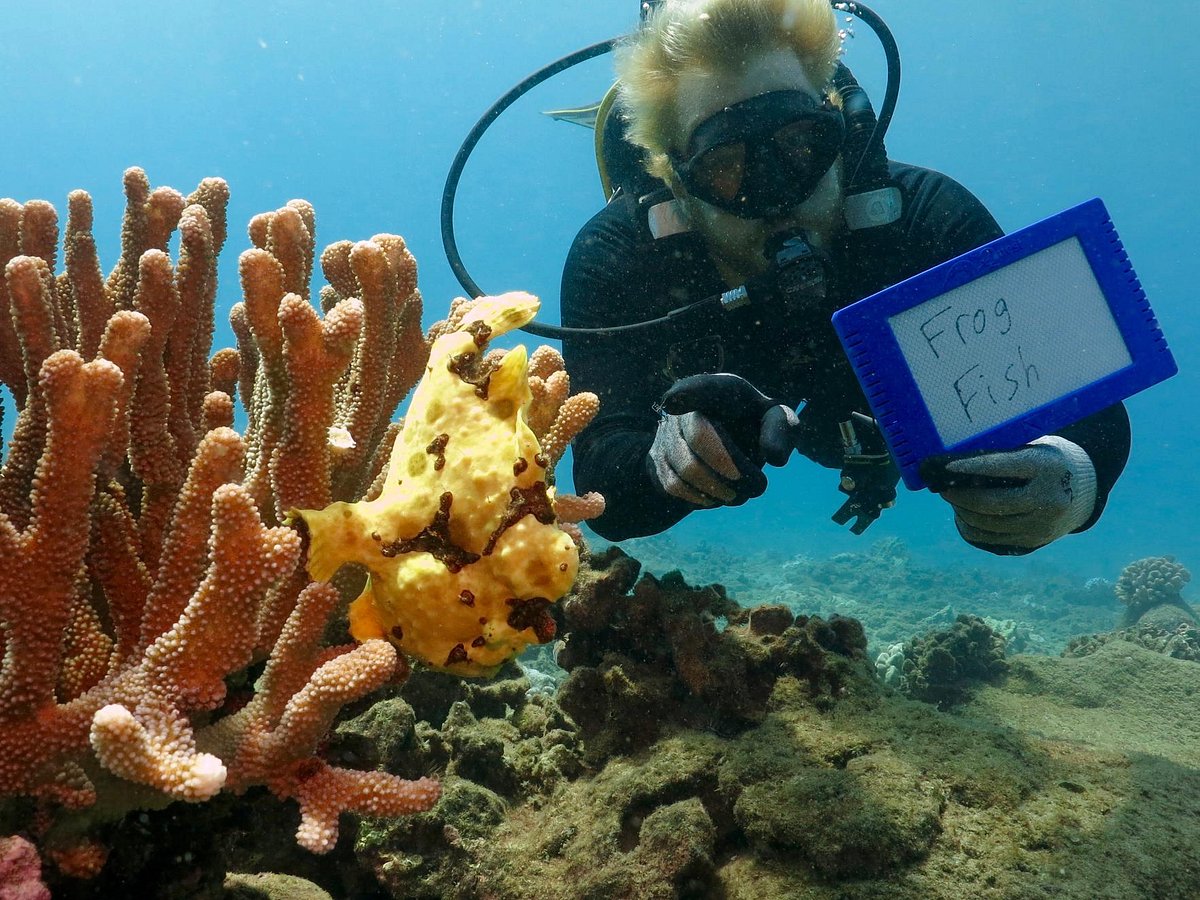 EXPLORE KAUAI SCUBA (Kekaha) 2022 What to Know BEFORE You Go