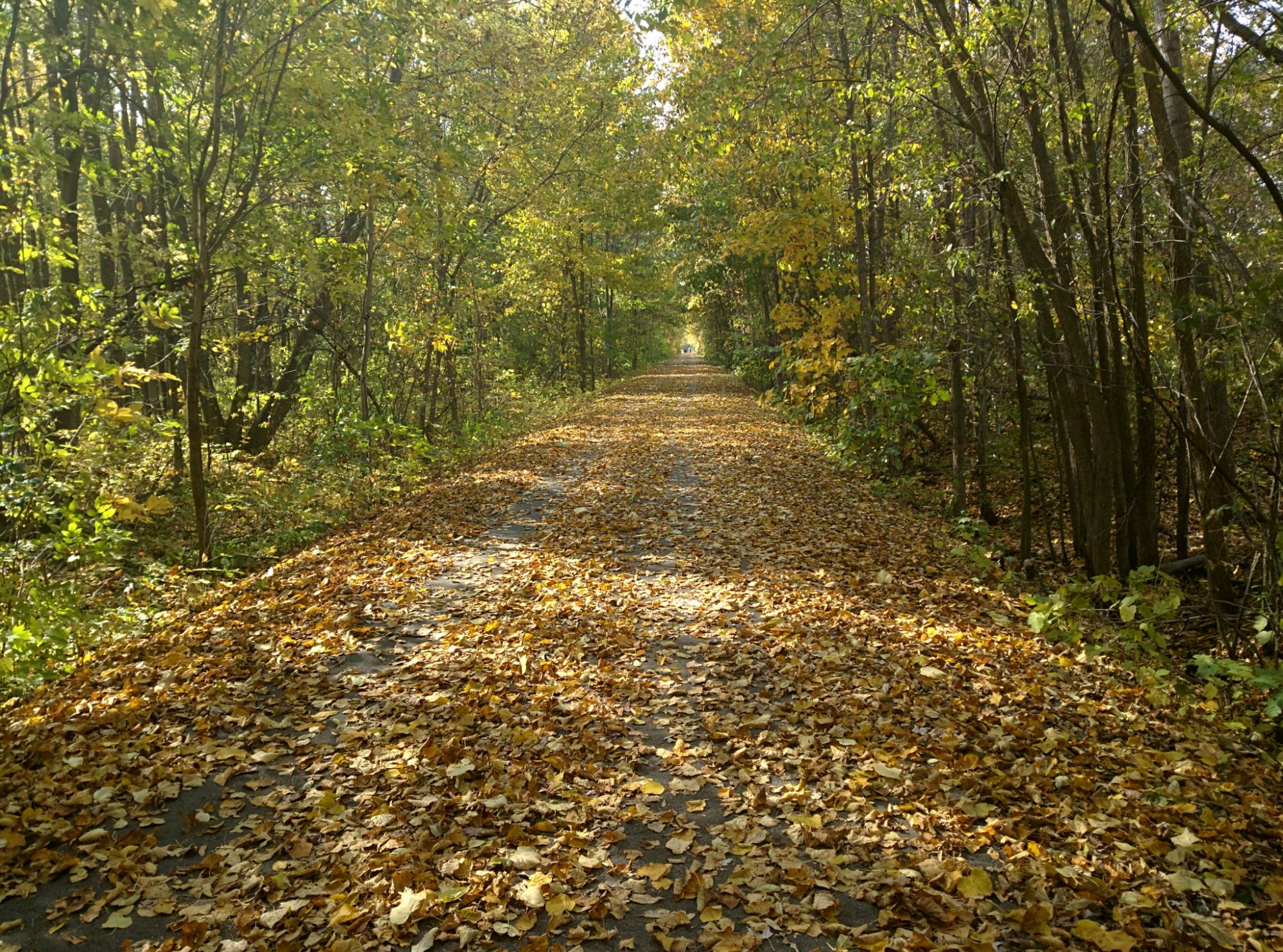 Macomb Orchard Trail All You Need to Know BEFORE You Go