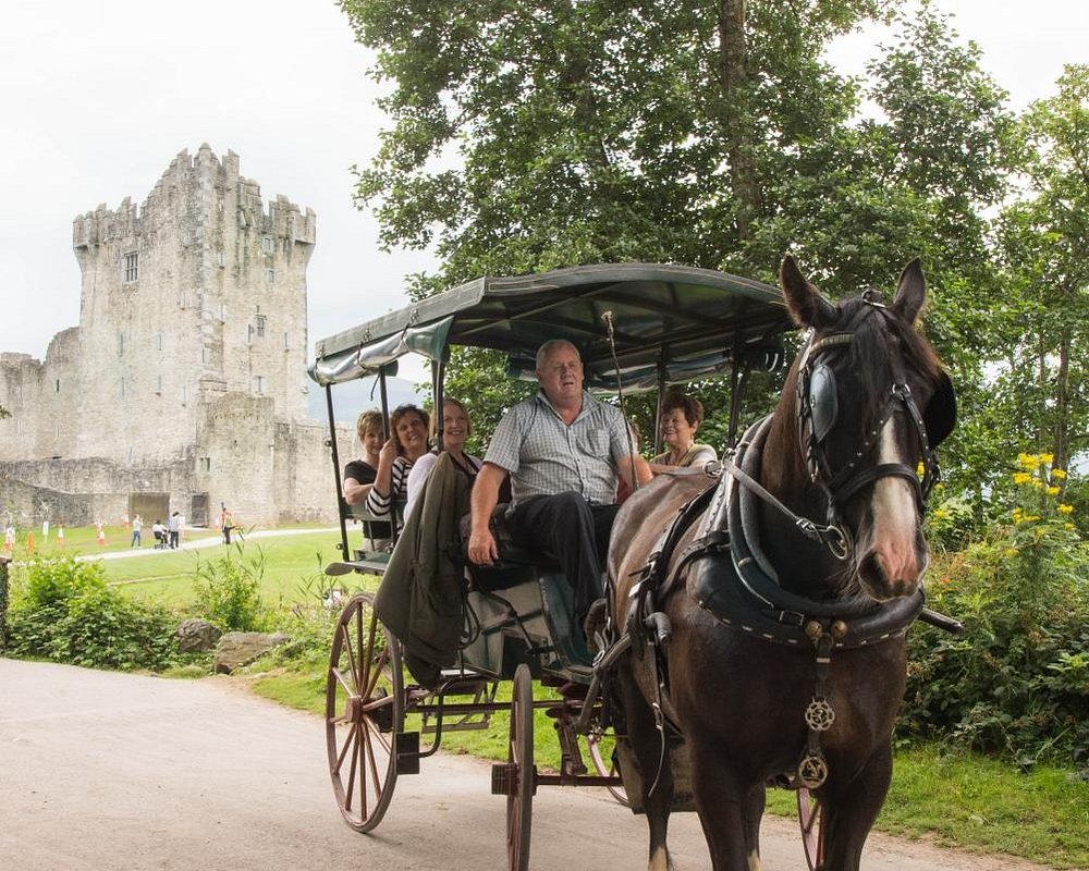 horse tours killarney