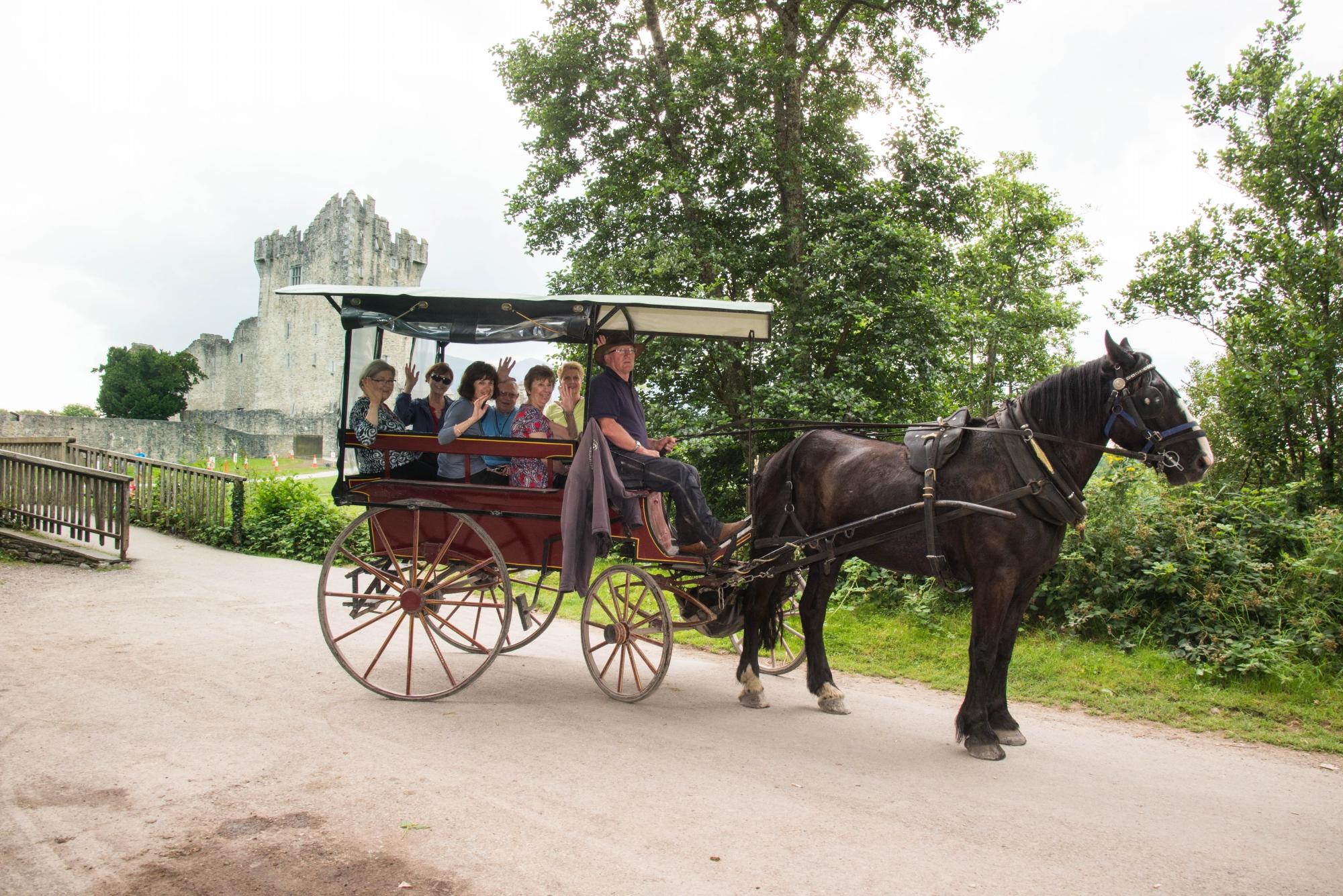 Horse and carriage tours online