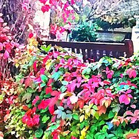 Autumn at the Manor Gardens