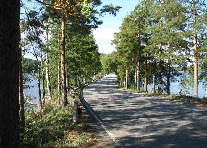 Road on Punkaharju Ridge