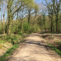 Burbage Common and Woods