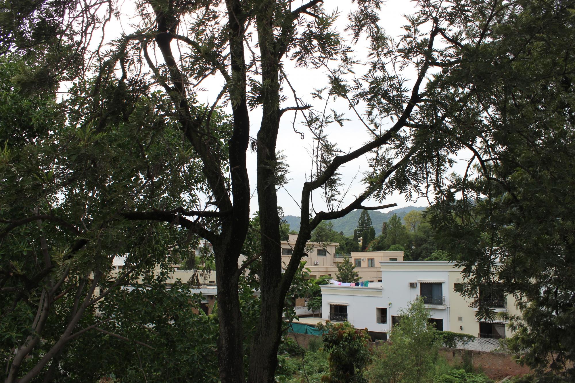 Hotel photo 48 of S Chalet Islamabad.