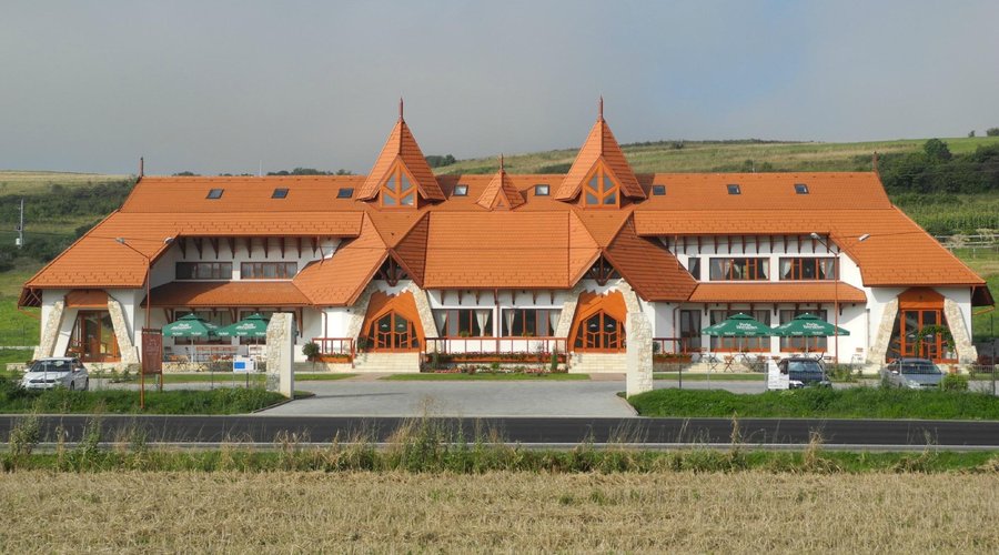 Bonanza - Pension & Restaurant (Radaia) - 호텔 리뷰 & 가격 비교