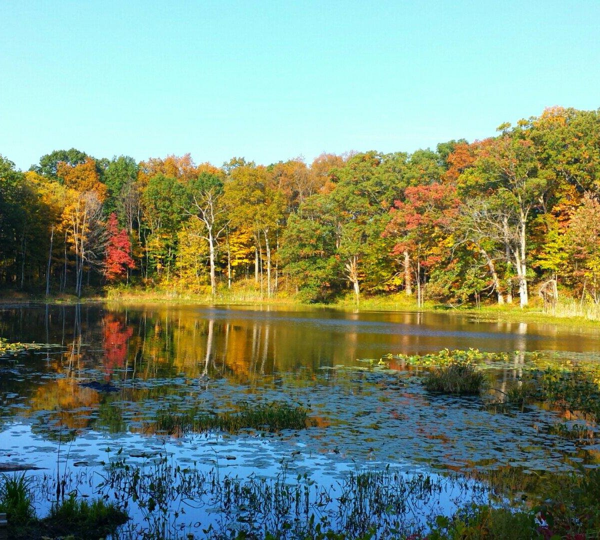 chain-o-lakes-state-park-albion-atualizado-2022-o-que-saber-antes