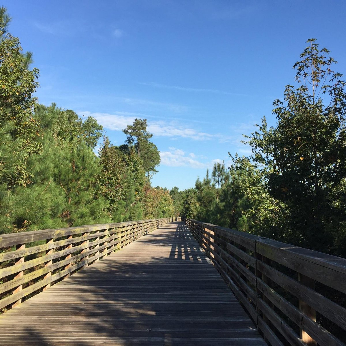 Greensprings Greenway Interpretative Trail (Williamsburg) - All You ...