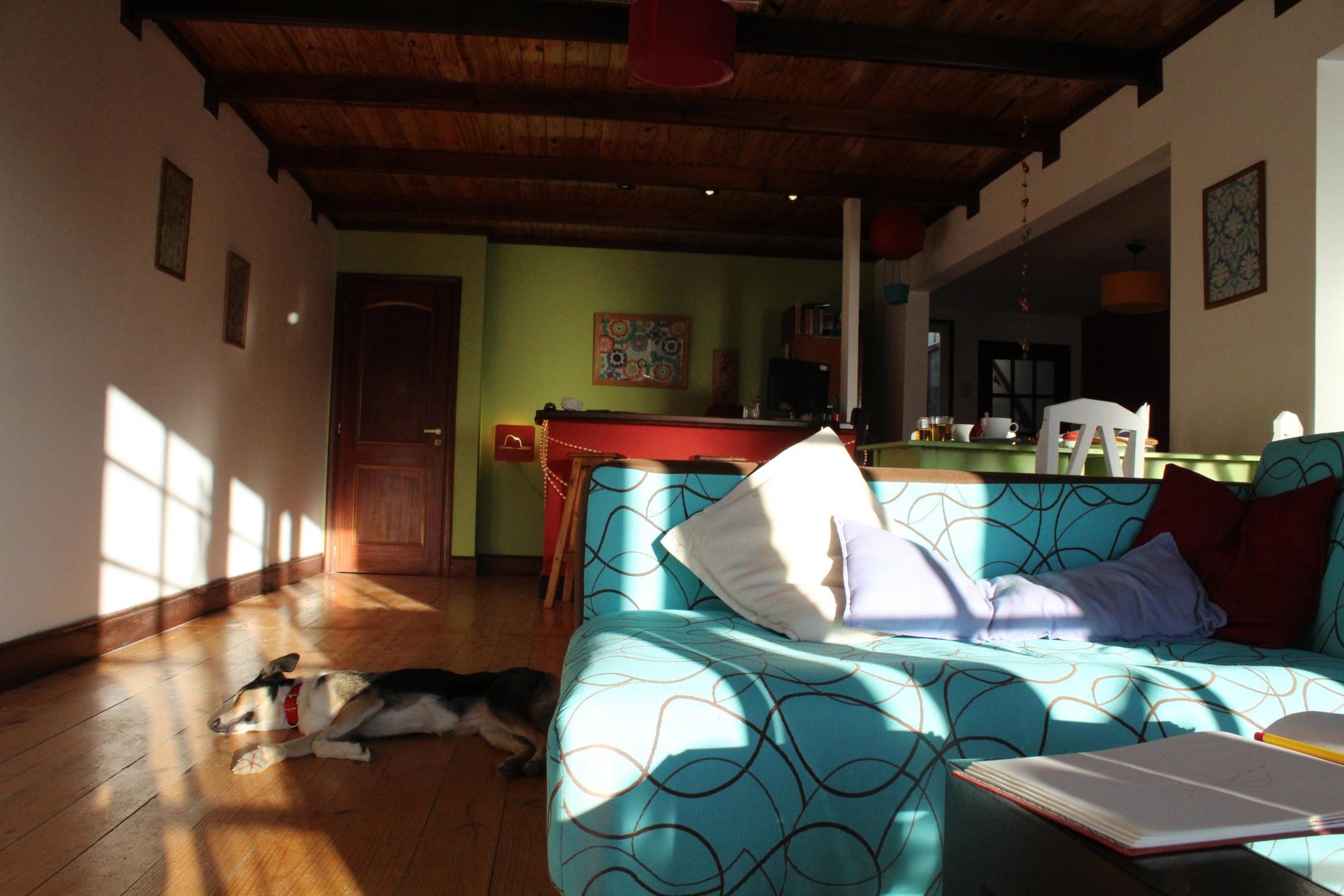 Hotel photo 8 of Bla! Guesthouse.