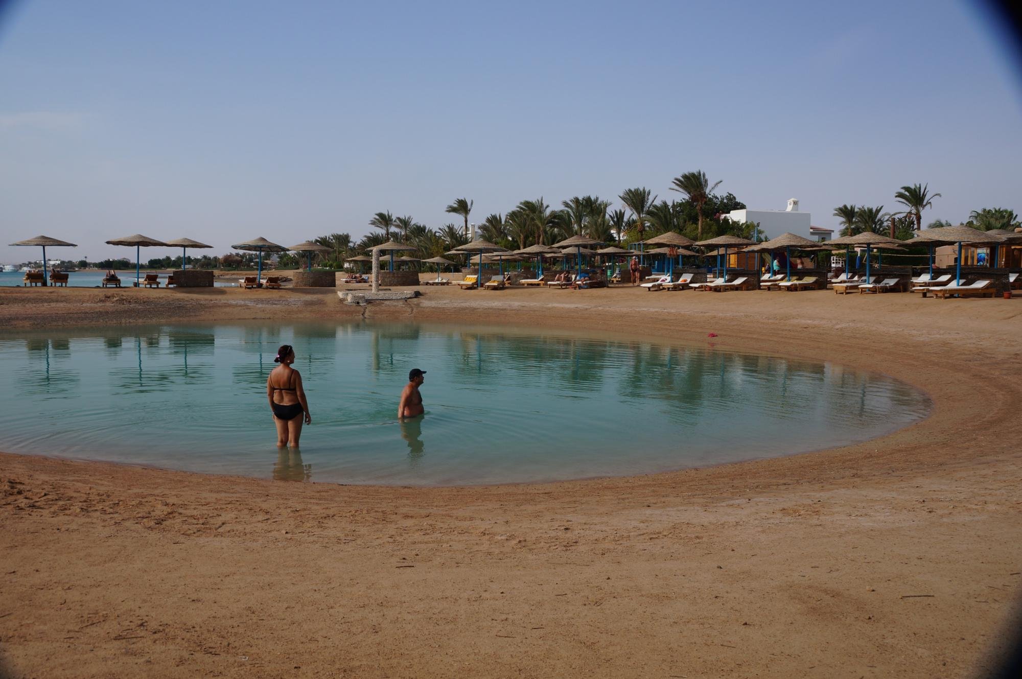 Club Paradisio El Gouna Red Sea 바 또는 라운지 사진 및 리뷰 - 트립어드바이저
