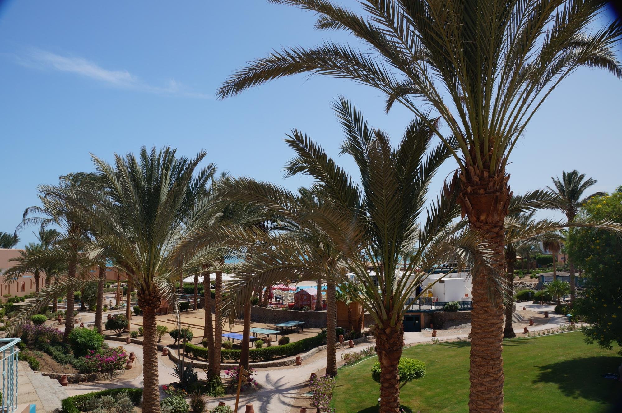 Club Paradisio El Gouna Red Sea 바 또는 라운지 사진 및 리뷰 - 트립어드바이저