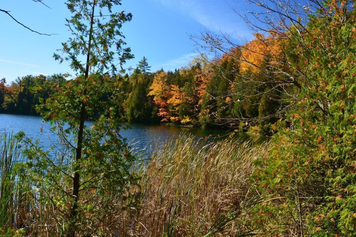 Crawford Lake Conservation Area (campbellville) - All You Need To Know 