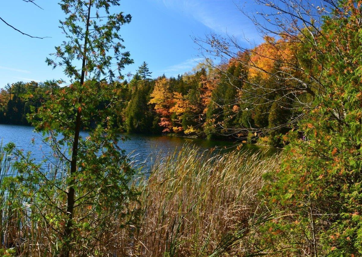 Crawford Lake Conservation Area - All You Need to Know BEFORE You Go (2024)