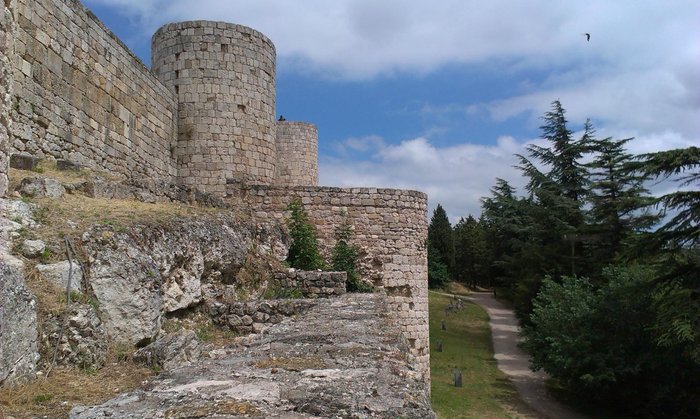 Imagen 8 de Castillo de Burgos