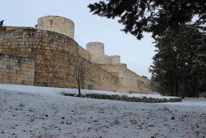 Imagen 3 de Castillo de Burgos