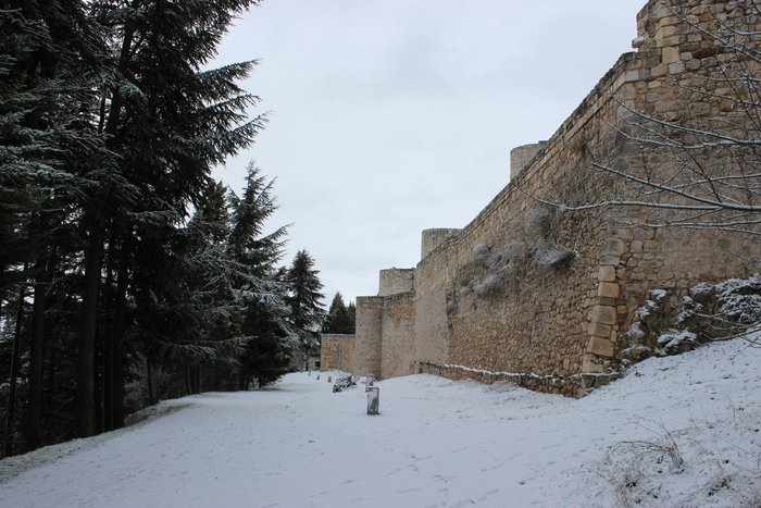 Imagen 2 de Castillo de Burgos