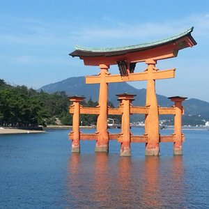 Torii des Itsukushima-Schrein bei Sonnenschein