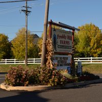 Freddy Hill Farms and Family Fun Center - All You Need to Know BEFORE ...